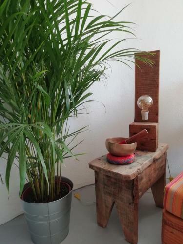 Hostal Blacksheep Sagres Guesthouse & Surf