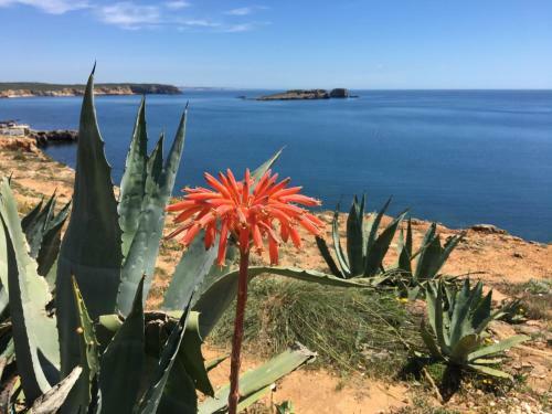 Hostal Casa Mar�