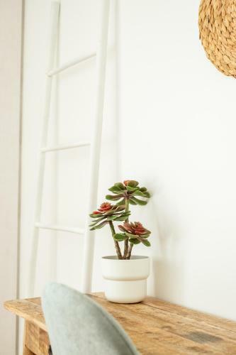 Apartamento Casa Vica