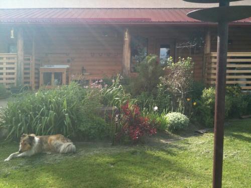 Lazy M Lodge