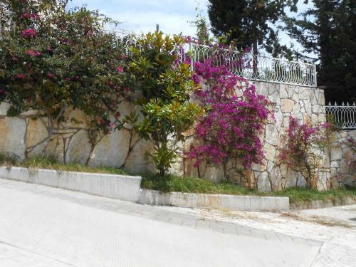 Apartments Dhermi