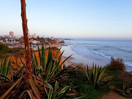 Praia Da Rocha Central Apart