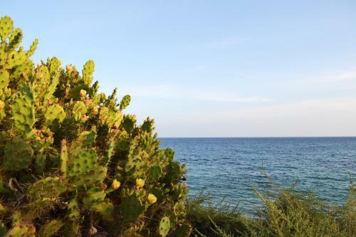 Apartamento Sea Top Flat X