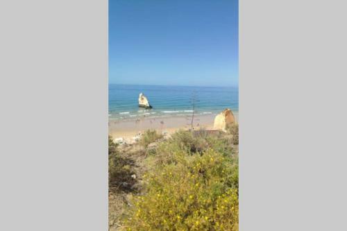 Apartamento Appartement Praia Da Rocha � 100m de La Mer