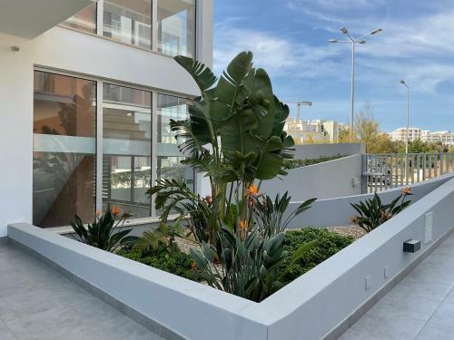 Apartamento Premiumapartment Praia Da Rocha