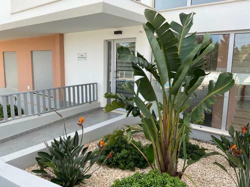 Apartamento Premiumapartment Praia Da Rocha