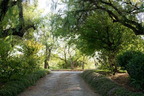 Villa Altido Presents Quinta Da Donalda