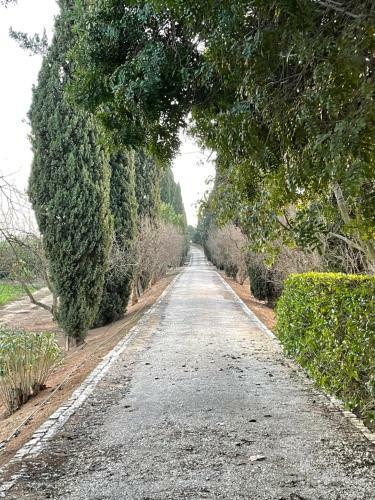 Villa Altido Presents Quinta Da Donalda
