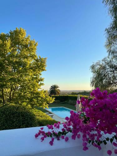 Villa Altido Presents Quinta Da Donalda