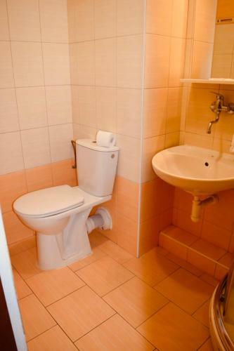 Lowcost Hostel