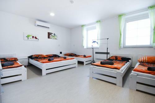 Hostal Penzion U Pale?k?