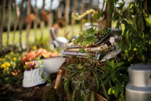 Hostal Pension Haus Am Walde