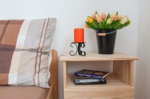 Apartm�n ?eleznice
