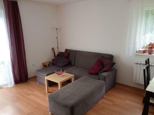 Apartm�n Medu?kov�