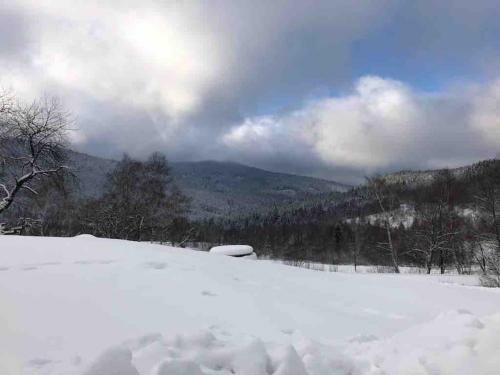 Bike & Wellness Apartm�n Bor?vka