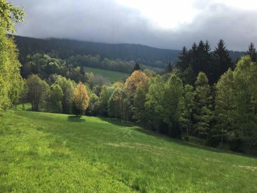 Bike & Wellness Apartm�n Bor?vka