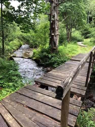 Bike & Wellness Apartm�n Bor?vka