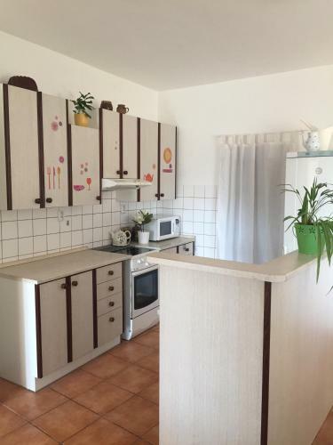 Apartamento Penzion Ve Star�m M?st?