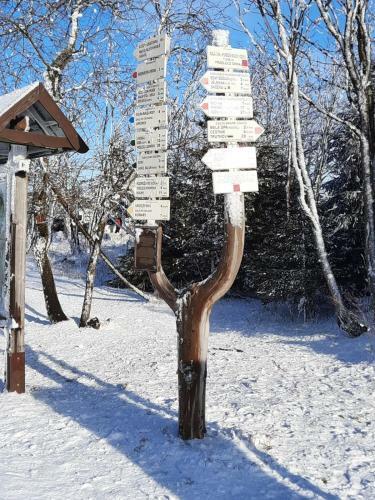 Apartm�n S Vyhl�dkou 276-16