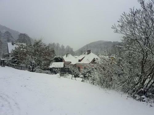 Hostal Ubytovan� Vila Pram�nek