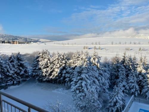 Joy Aparthotel Klinovec
