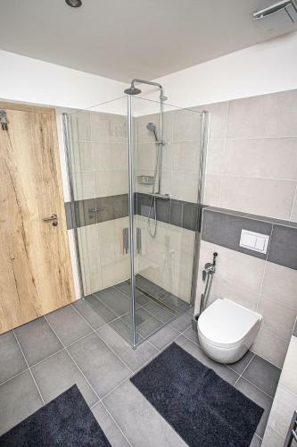 Green Apartment Kl�novec