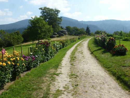 Apartamento Ferienwohnung Pusteblume