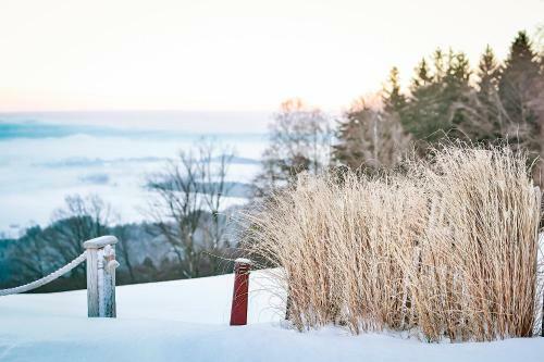 Apartamento Chiemsee Chalet