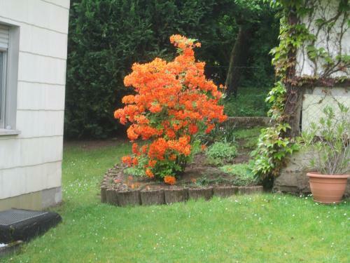 Apartamento Ferienwohnung Rupp,n�he Bostalsee