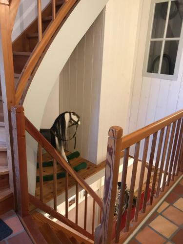 Apartamento Kleine 10 - Mitte