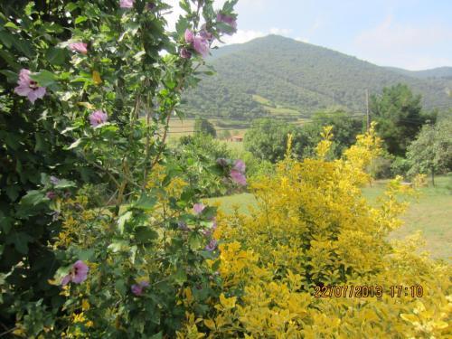 Hotel Toscana