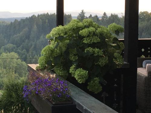 Apartamentos Landhausvilla Strittberg 7