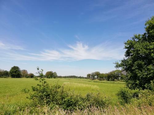 Apartamento Etzel-lodge Weideblick