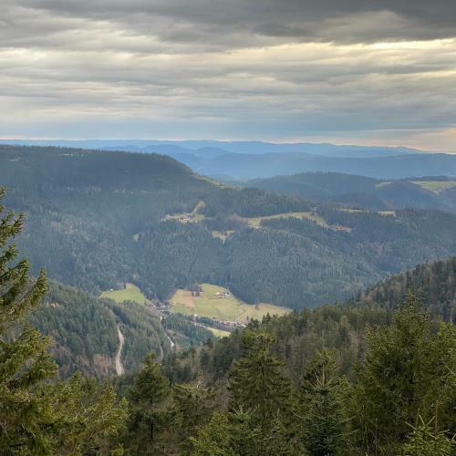Apartamento Schwarzwald Wohnung Kniebis