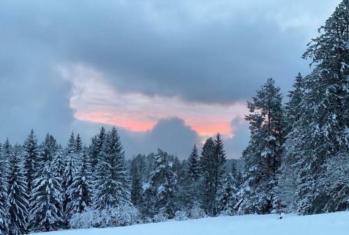 Apartamento Schwarzwald Wohnung Kniebis
