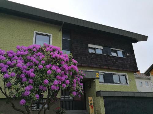 Apartamento Schwarzwaldhaus Markus