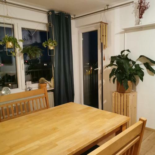 Apartamento Mila