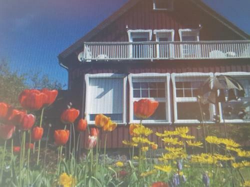 Apartamento Schwalbennest Fewo 1