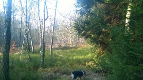 Apartamento Ferienhaus Friedrichswalde