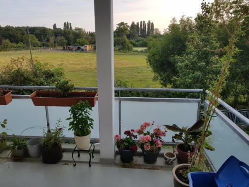 Apartamento Wohnung In Freiburg Betzenhausen