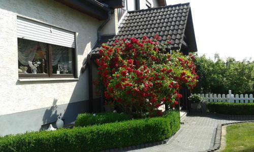 Apartamento Ferienwohnung Schmetterling