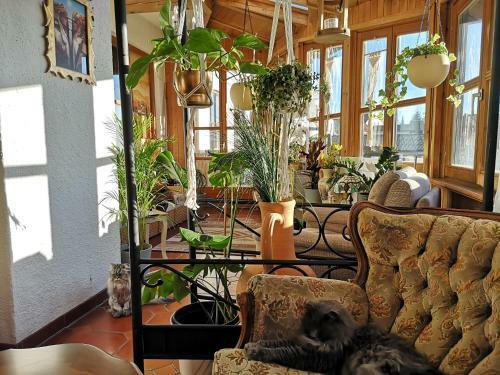 Bed & Breakfast Edel Weiss G�stezimmer