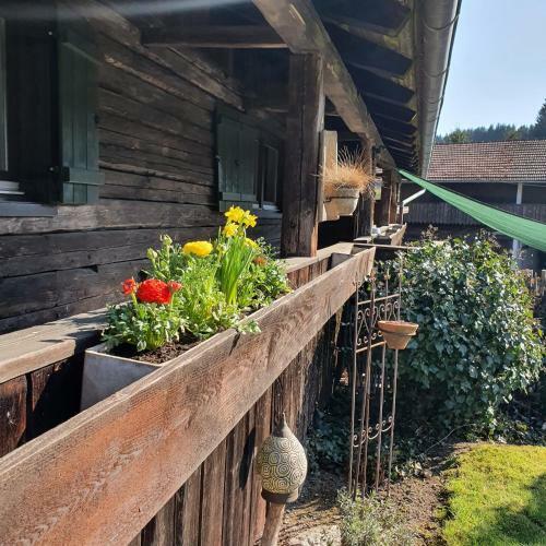 Naturidyll Kollnbergm�hle