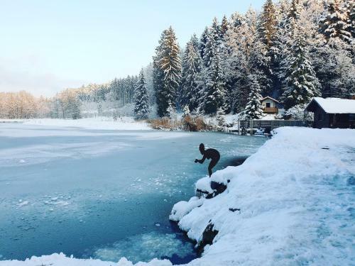 Naturidyll Kollnbergm�hle