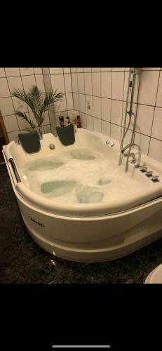 Apartamento Ferienparadies