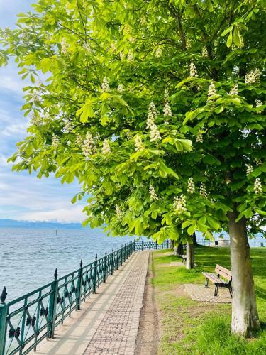 Apartamento " Sunshine Am See "