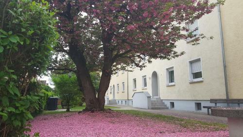 Apartamento Ferienwohnung Cifci
