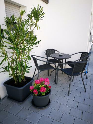 Apartamento Ferienwohnung Alvino