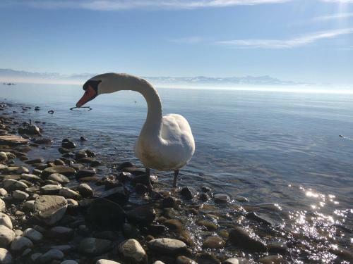 Apartamento Ferienwohnung Bodensee