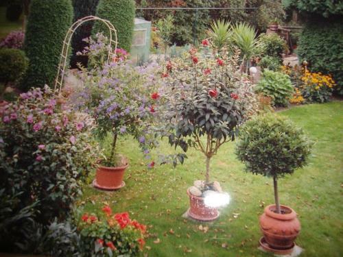Apartamento Landhaus Strangm�ller